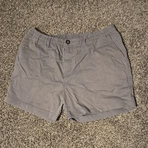 Chubbies Women's Gray Casual Shorts